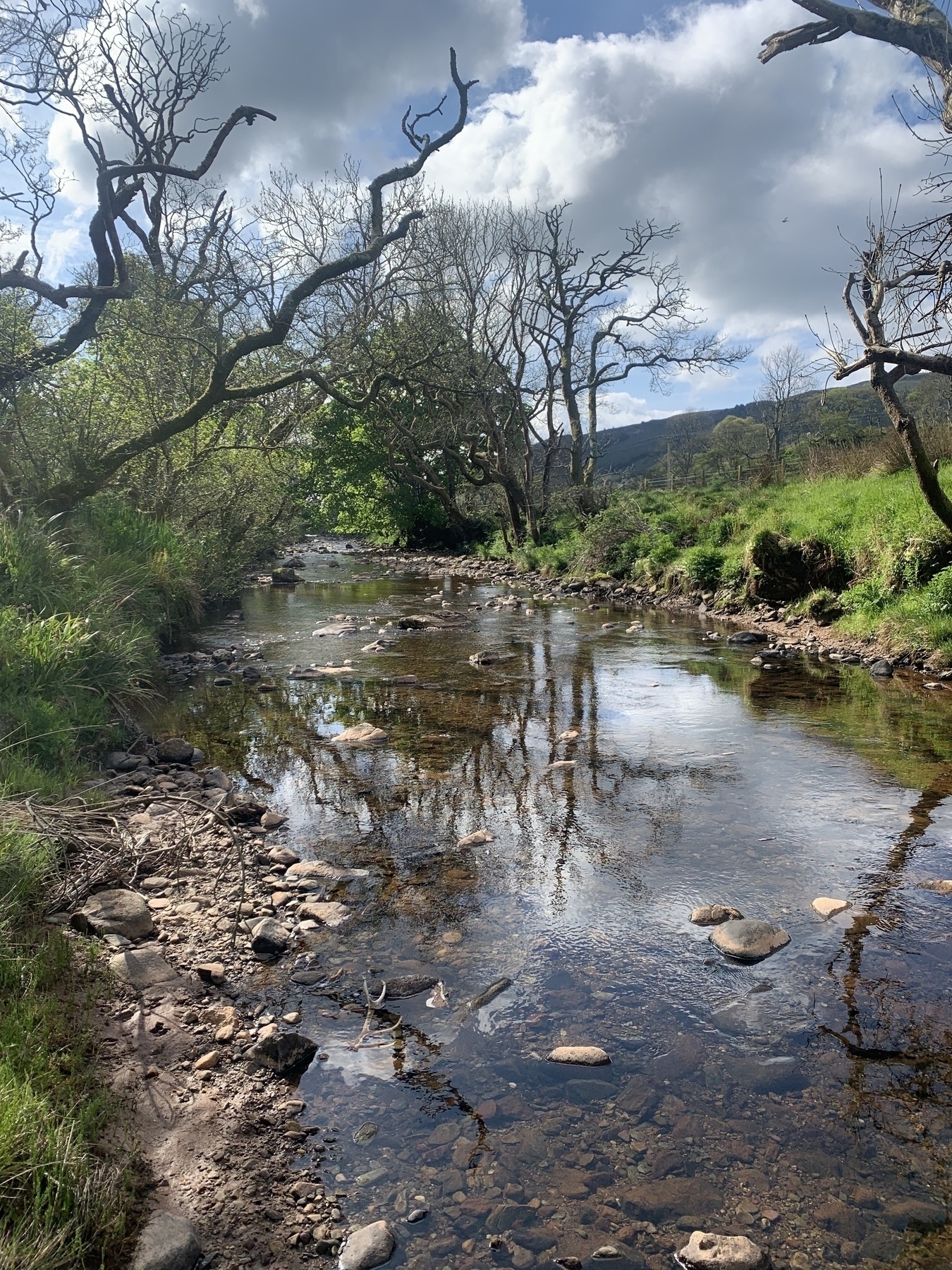 Down by the river